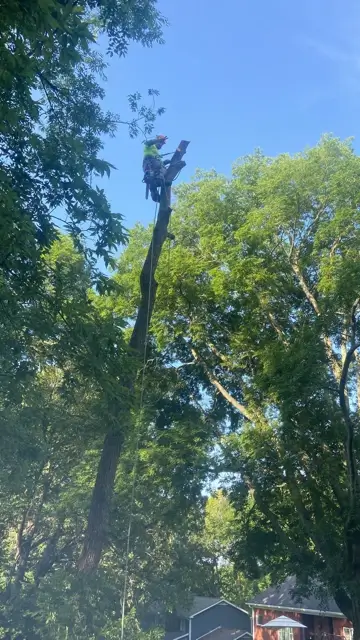 Landscape Contractor