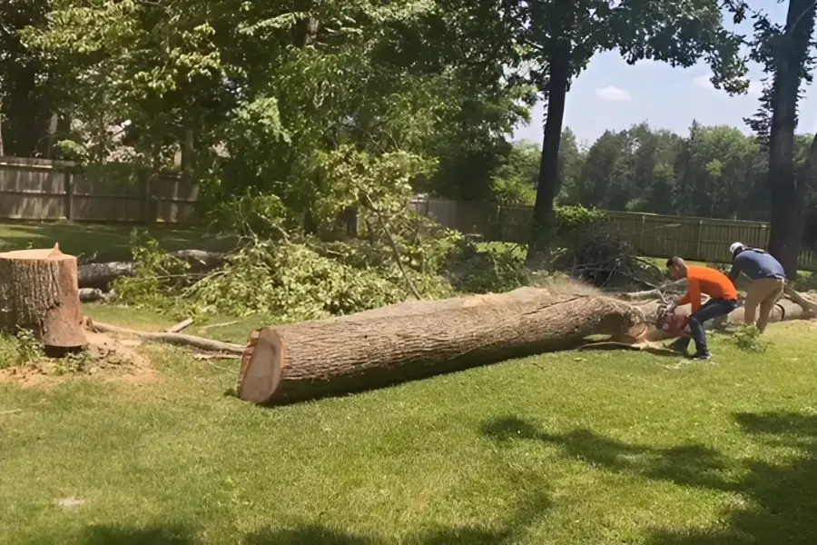 Professional Landscaping Services in Murfreesboro, TN Landscaping Contractor in Murfreesboro, TN