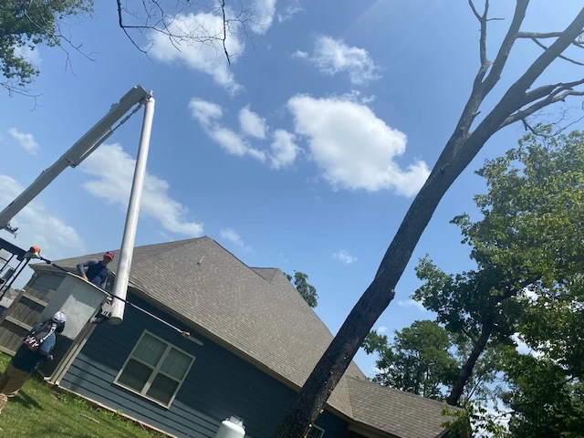 Reliable Landscaping Services