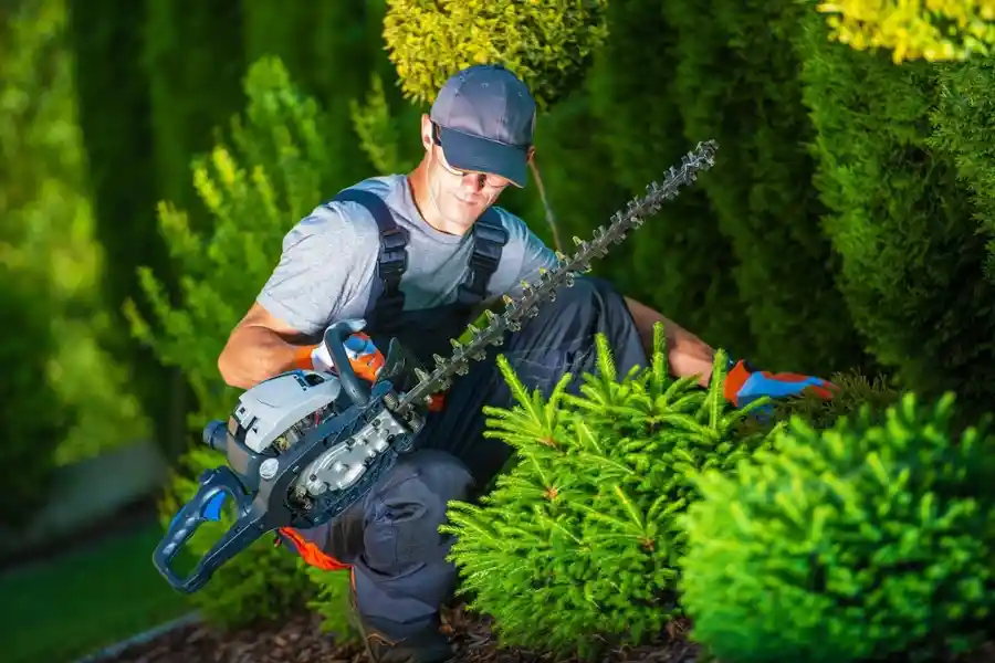 Trusted Landscaping Contractor