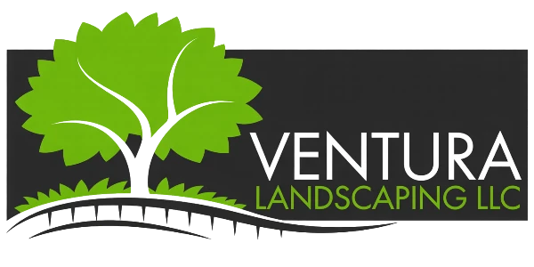 Ventura Landscaping LLC